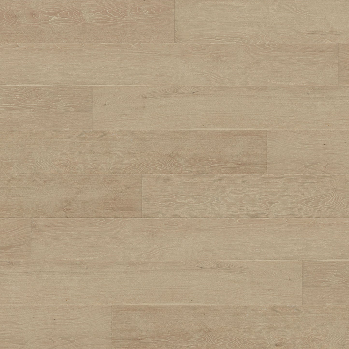 Geneva White Oak