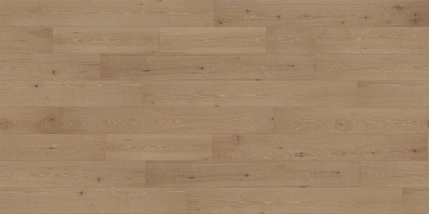 Zion Hickory