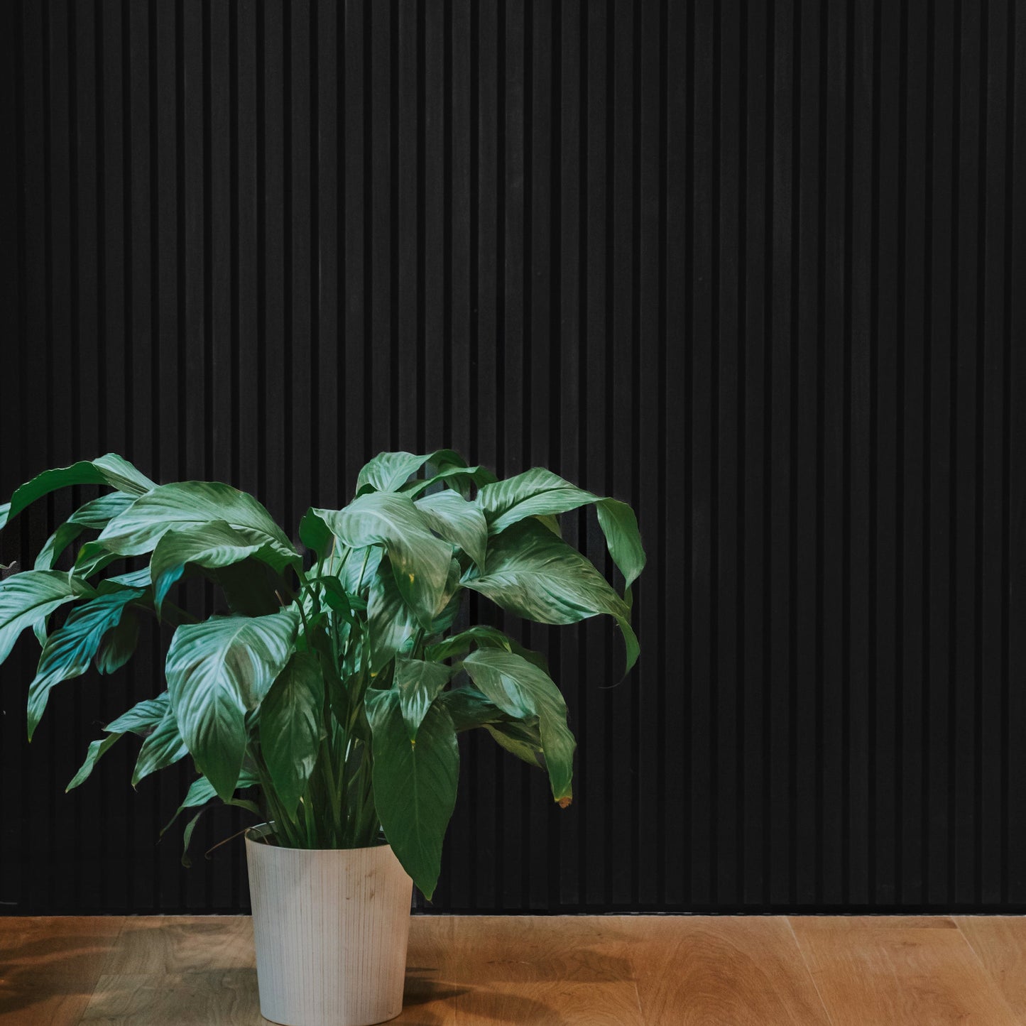 Noir White Oak Acoustic Slat Panels 94.5"