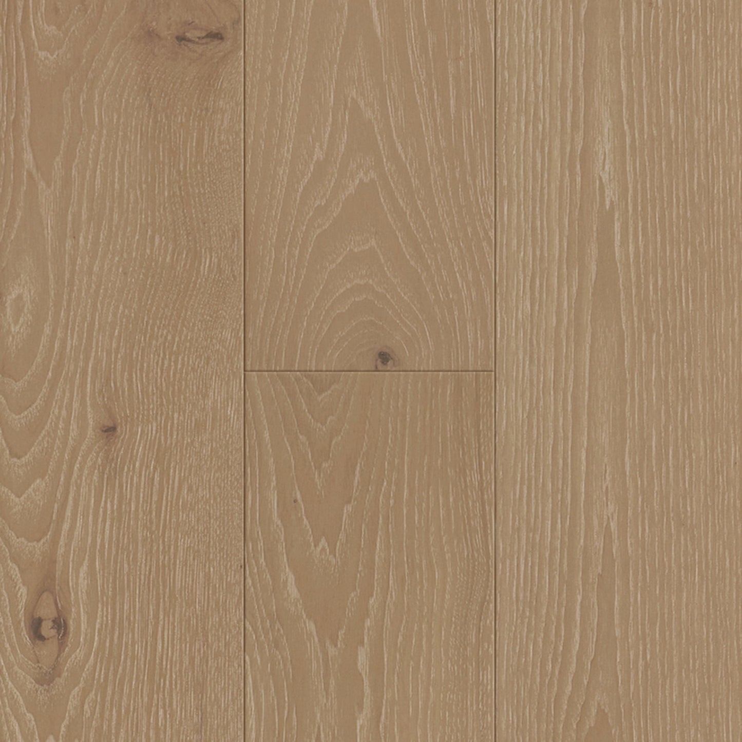 Zion Hickory