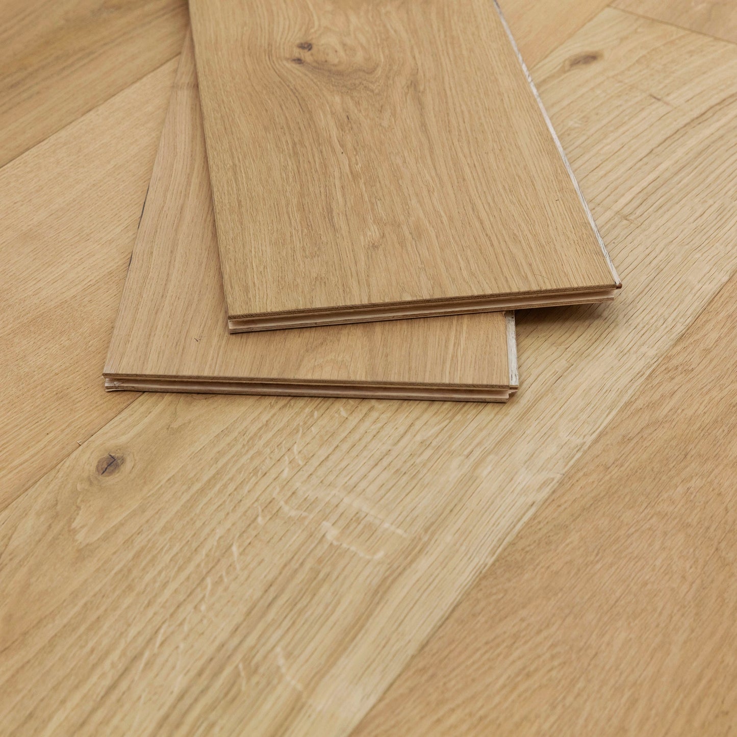 Bristol White Oak