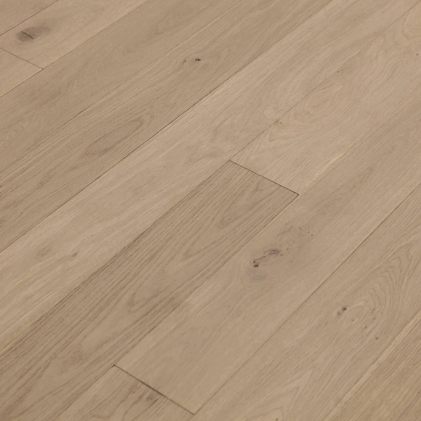 Coastal White Oak