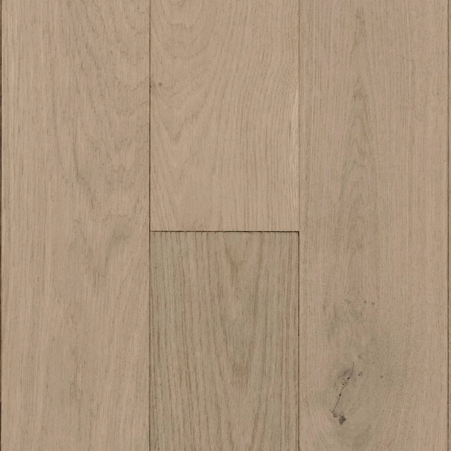 Coastal White Oak