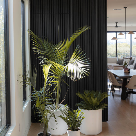 Noir White Oak Acoustic Slat Panels 120"