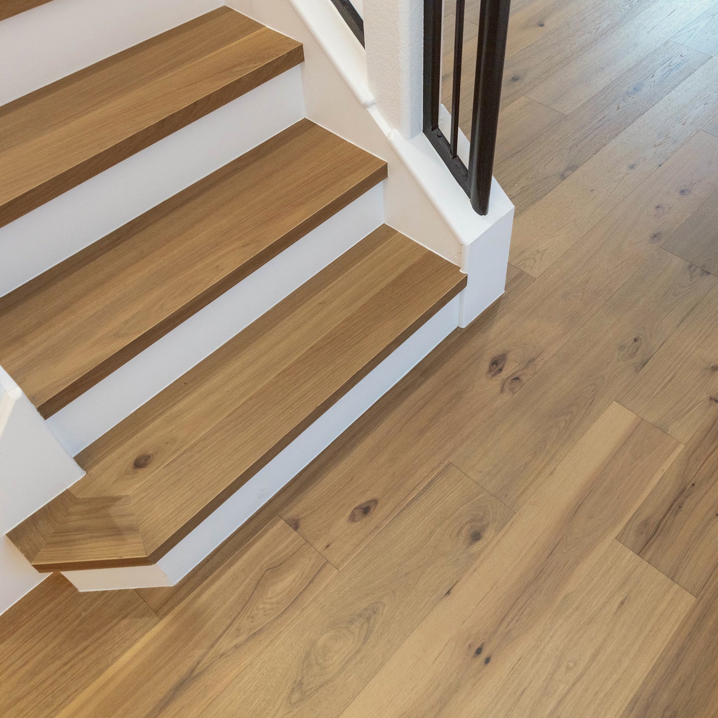 Katmai Hickory