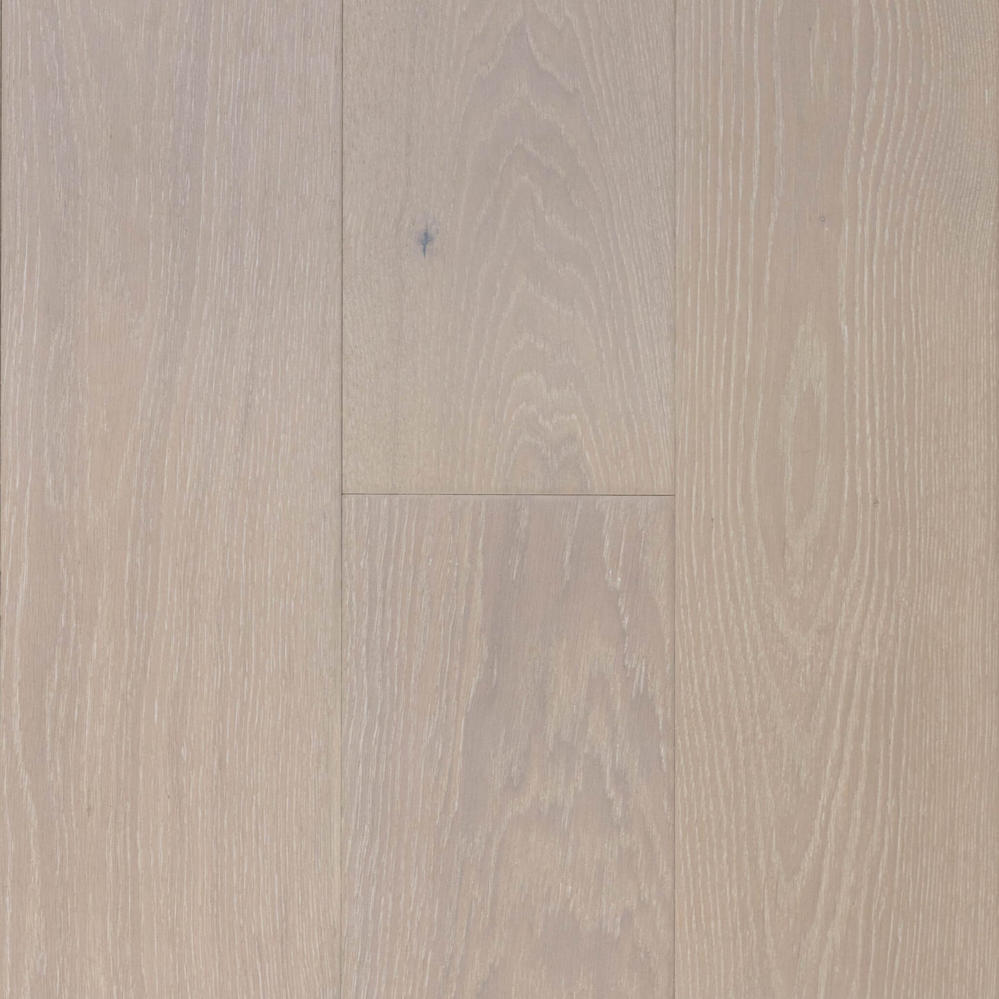 Dahlia White Oak