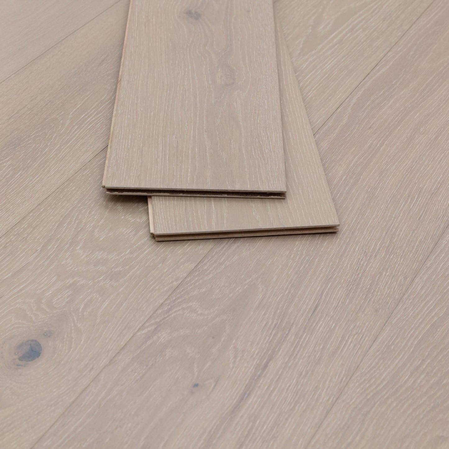 Dahlia White Oak