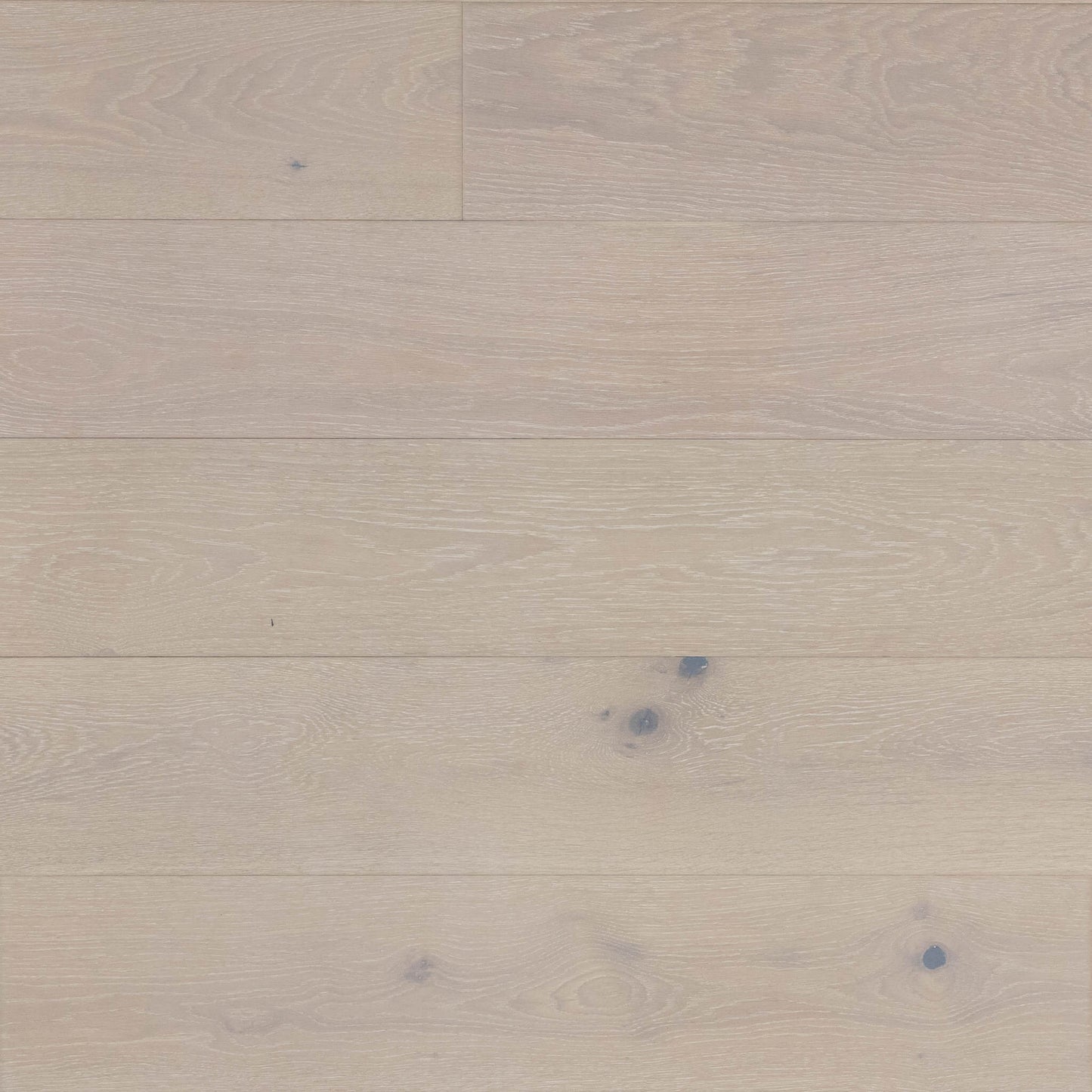 Dahlia White Oak